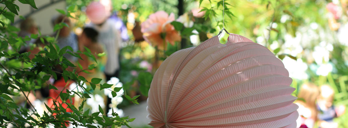 background photo for norwegian spa